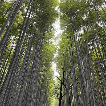 嵐山 天龍の宿 駐車無料 一棟貸切 最大5人 Dragon Legend Arashiyama Central Private Rare Modern Villa Free Parking Max 5Ppl Shimo-saga Exteriér fotografie