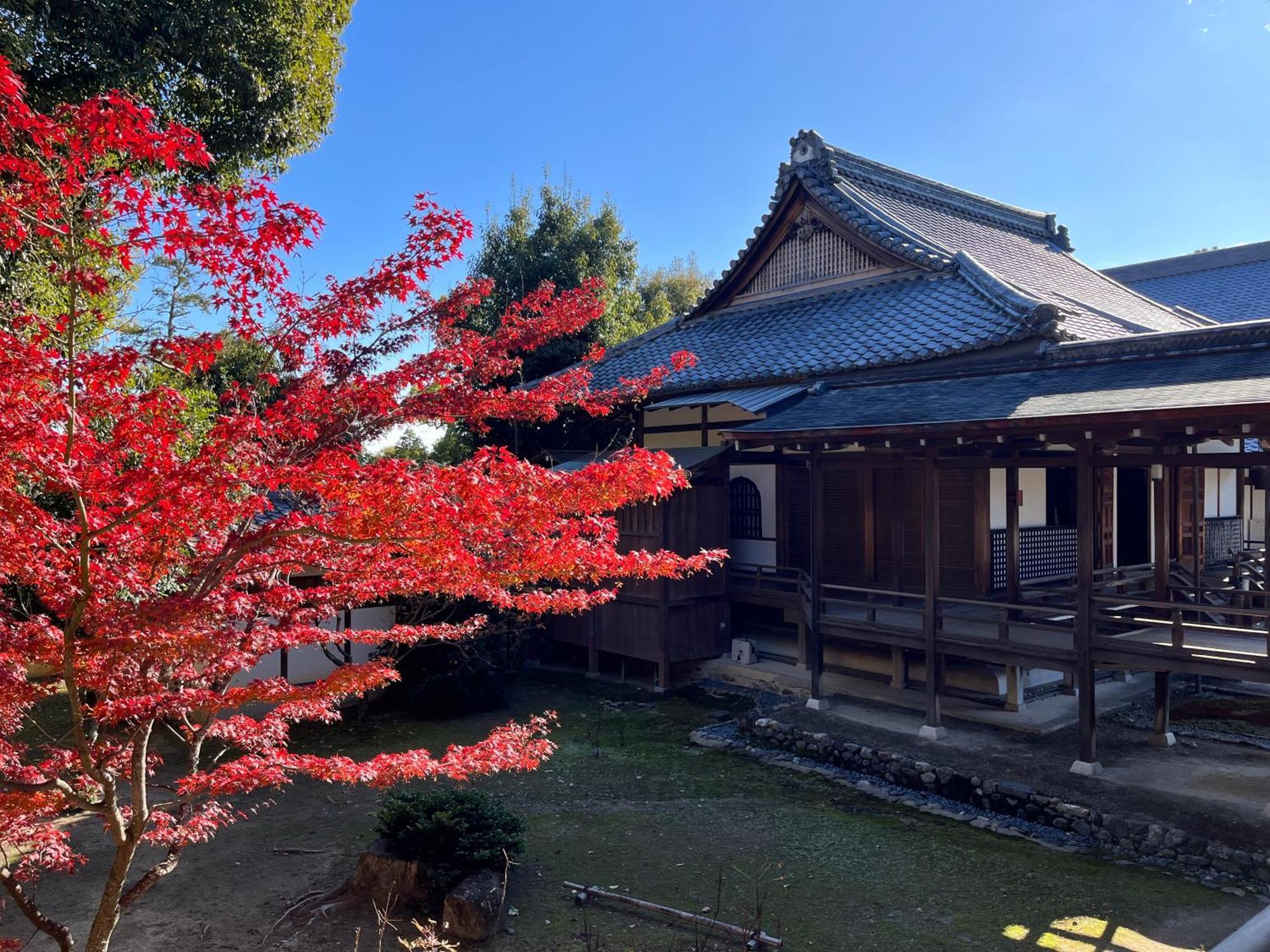 嵐山 天龍の宿 駐車無料 一棟貸切 最大5人 Dragon Legend Arashiyama Central Private Rare Modern Villa Free Parking Max 5Ppl Shimo-saga Exteriér fotografie