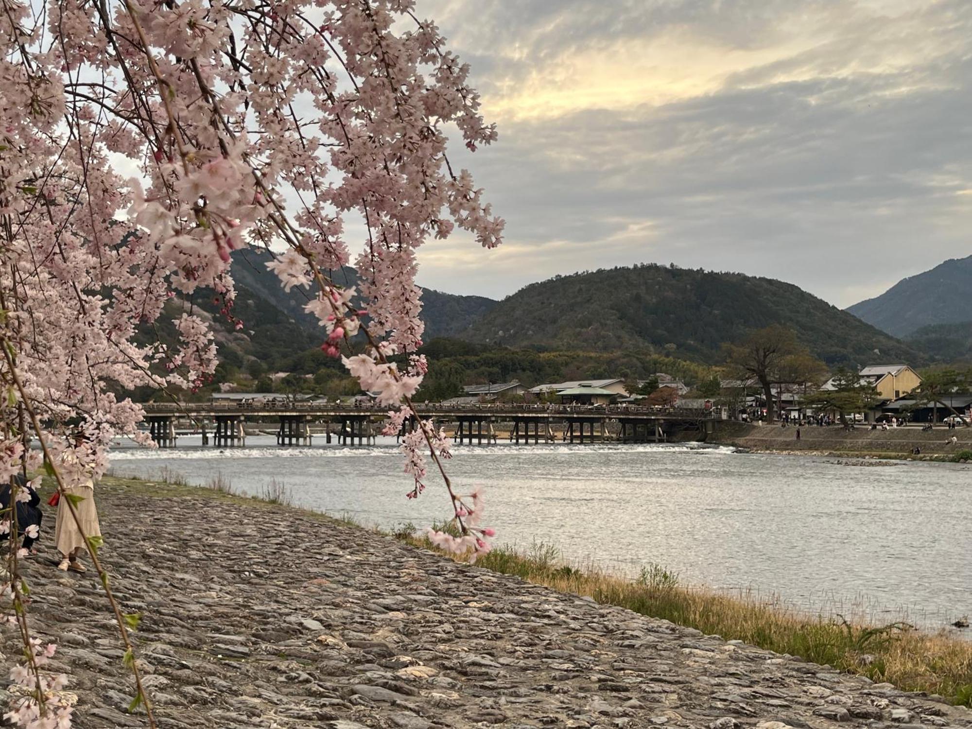 嵐山 天龍の宿 駐車無料 一棟貸切 最大5人 Dragon Legend Arashiyama Central Private Rare Modern Villa Free Parking Max 5Ppl Shimo-saga Exteriér fotografie